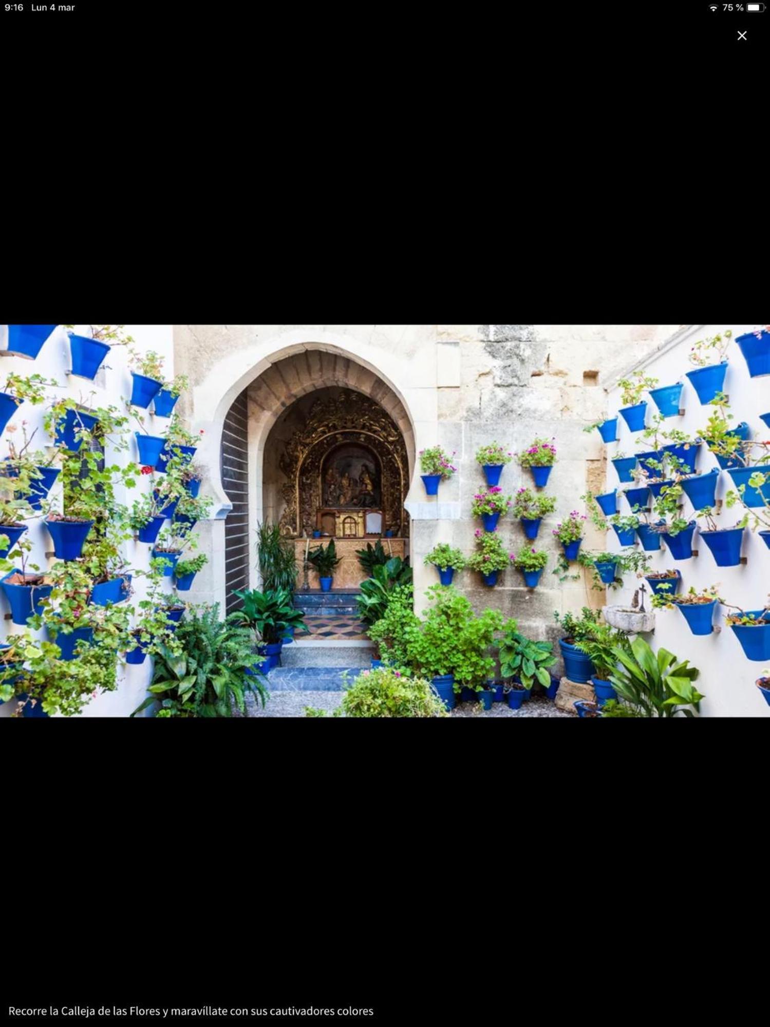 Centro Historico Mezquita Juderia La Preferida Lejlighed Córdoba Eksteriør billede